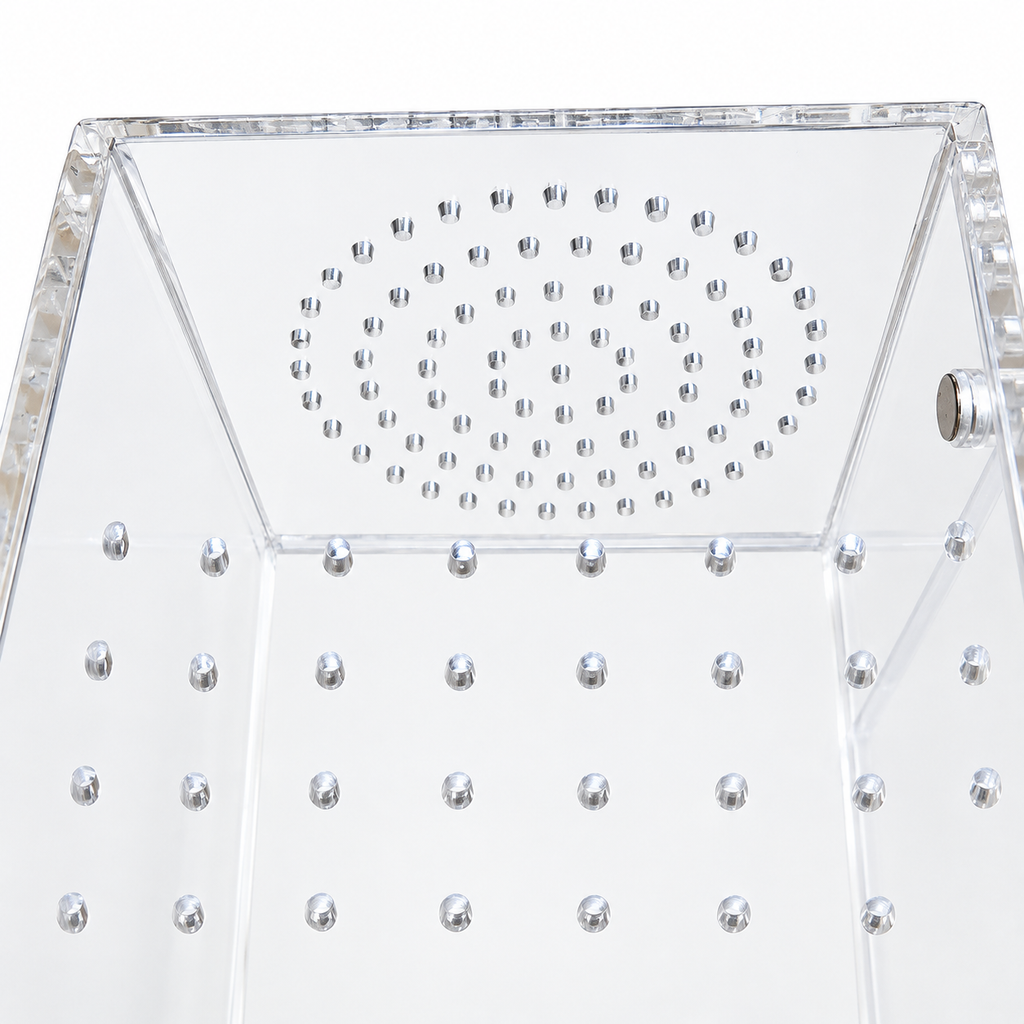 Magnetic Jumping Spider Enclosure