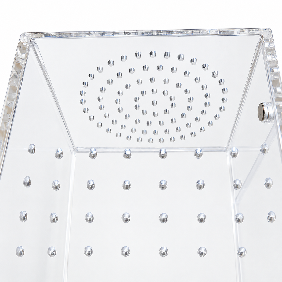 Magnetic Jumping Spider Enclosure