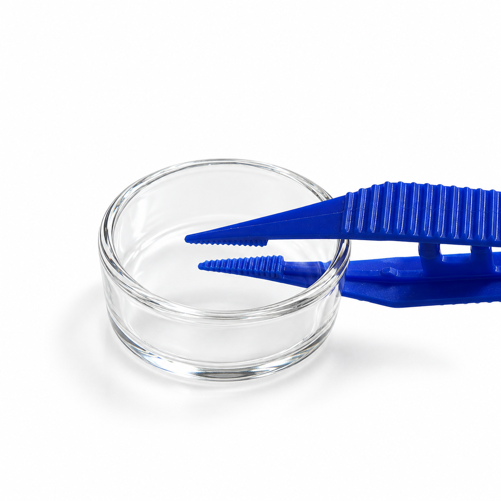 Large Glass Feeding Dish – 3.7 cm