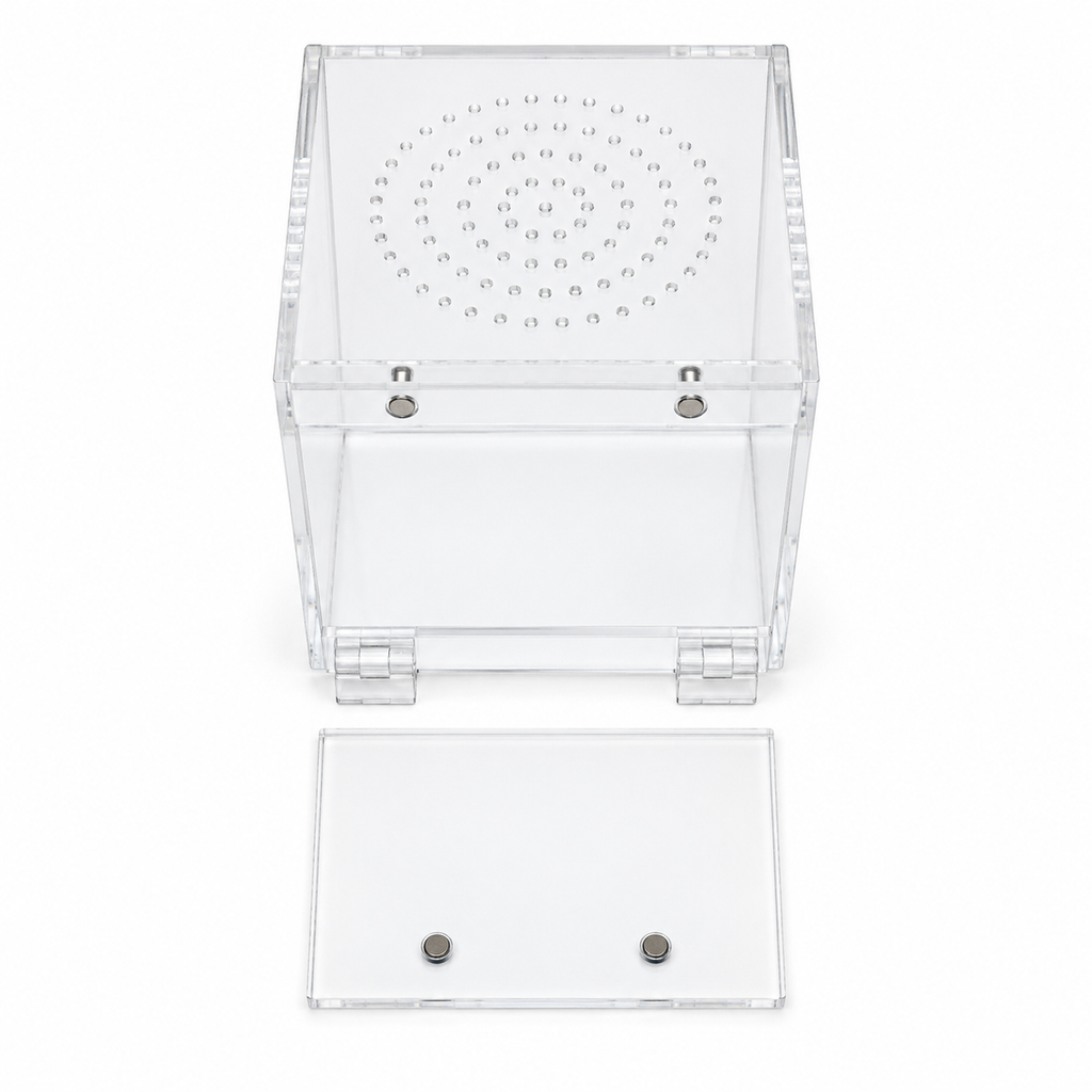 Magnetic Jumping Spider Enclosure