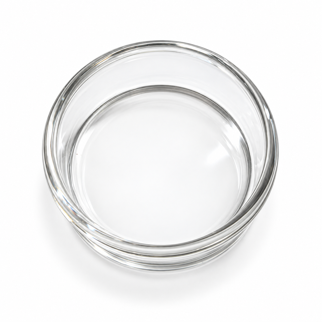Large Glass Feeding Dish – 3.7 cm