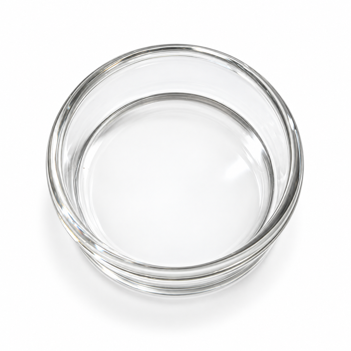 Large Glass Feeding Dish – 3.7 cm