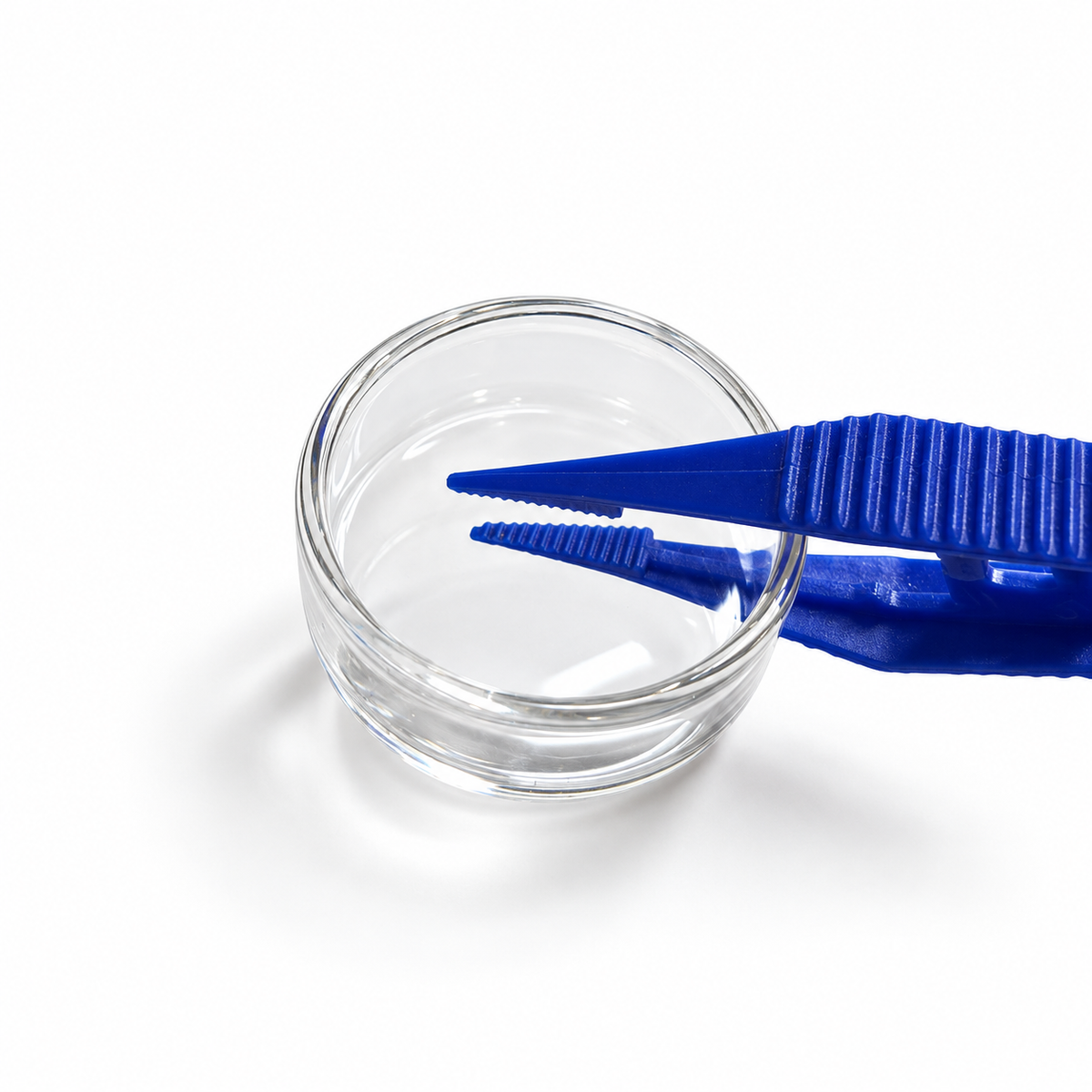 Large Glass Feeding Dish – 3.7 cm