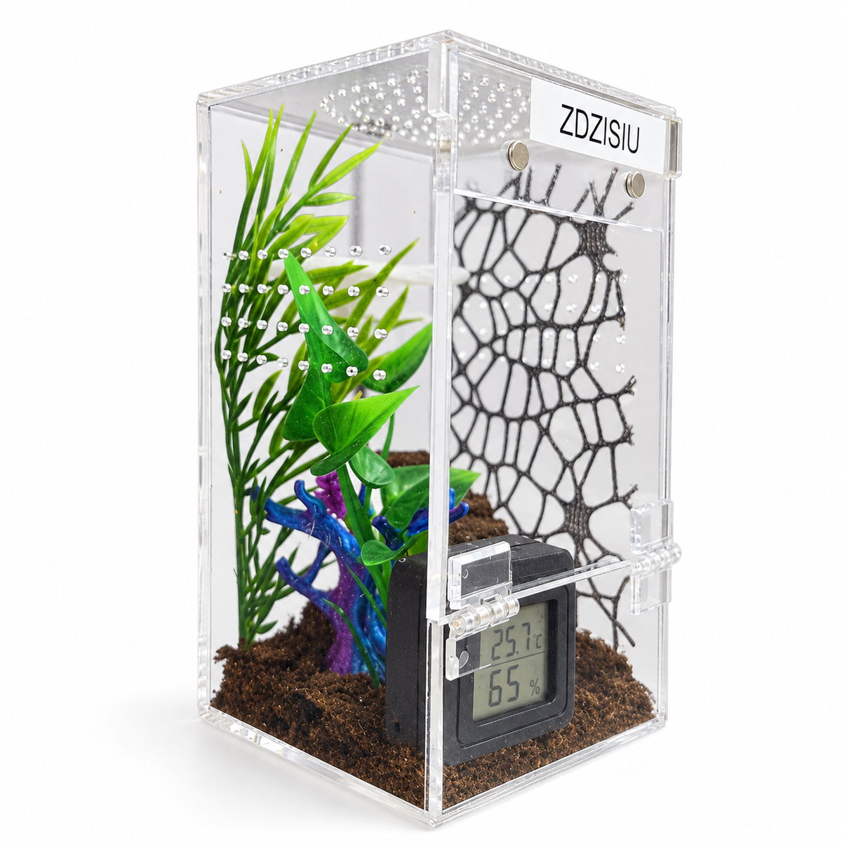 Magnetic Jumping Spider Enclosure