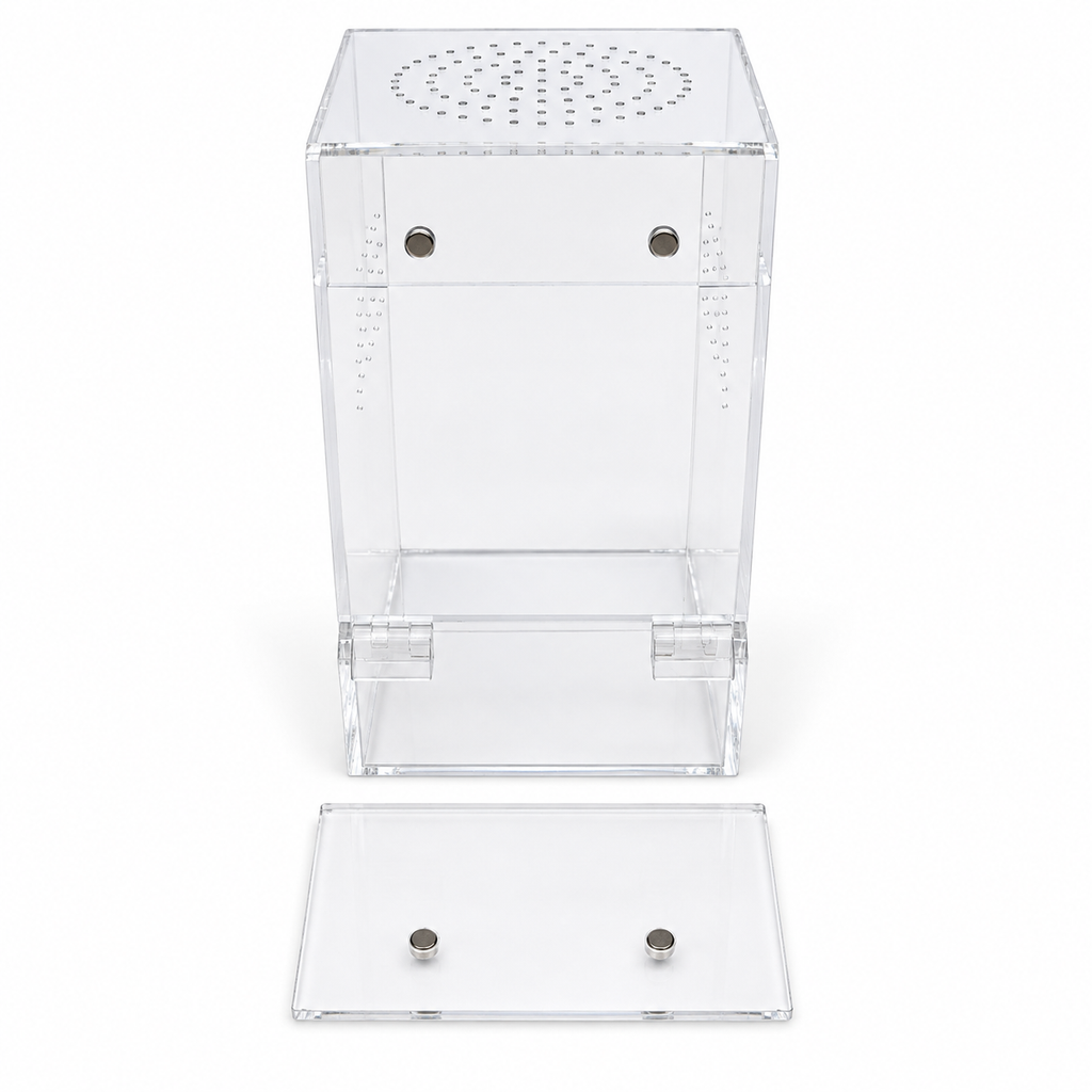 Magnetic Jumping Spider Enclosure