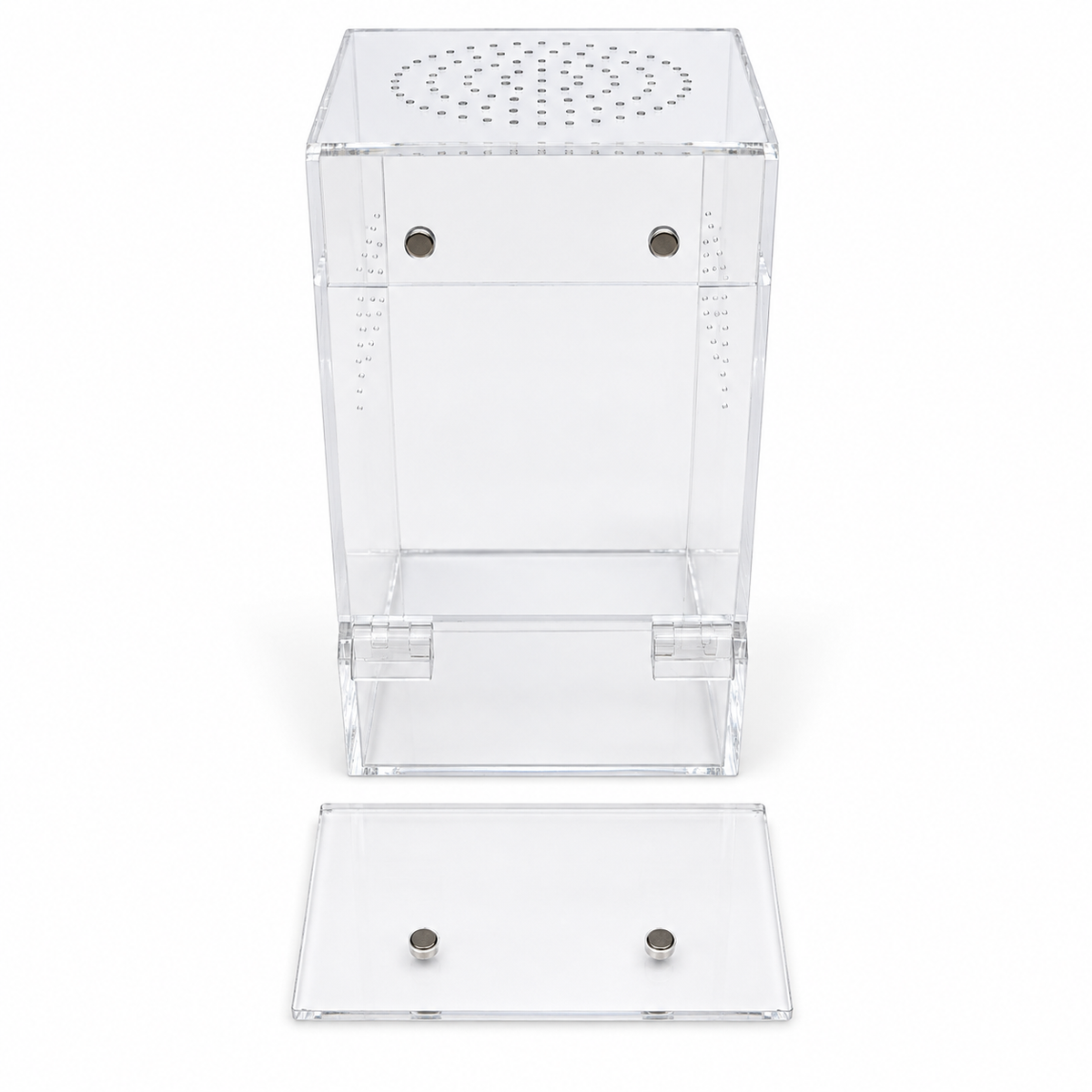 Magnetic Jumping Spider Enclosure