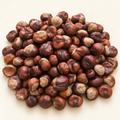 🍂 Natural Conkers – 20 for just £1.99! 🍂