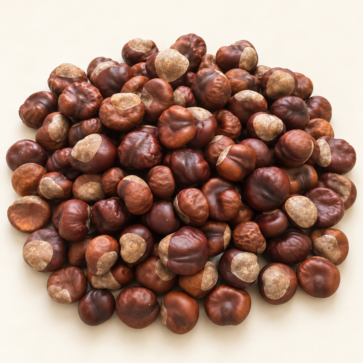 🍂 Natural Conkers – 20 for just £1.99! 🍂