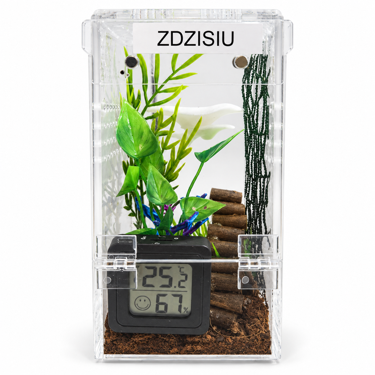 Magnetic Jumping Spider Enclosure